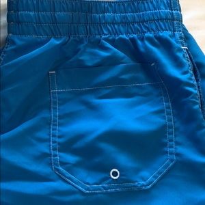 Chubbies swim trunks